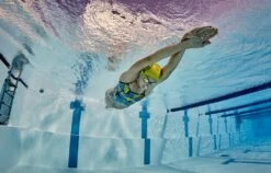 Womens Prism 2.0 Strap Back Swim Costume -ALLENS SWIMWEAR Sales 27781914fbe2fc4c4d3d2c4745d15985036c410bfda5d8deec4806677831e0a5