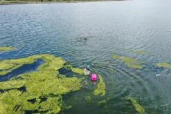 Drybag Medium Pink 28 Litres -ALLENS SWIMWEAR Sales 31a02d04cc897c466e72b3197d1d136c558a6b0380145e54413e5f16439b3779