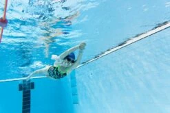 Predator Flex Small Fit -ALLENS SWIMWEAR Sales 4a3527e14ed433c00000ed317511b80e8817f56531b4a5877a9a6fdc6992f32d