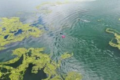 Drybag Medium Pink 28 Litres -ALLENS SWIMWEAR Sales 4f9d793106a8c804cb4d18ec06713be79bb0cabb4b3b6a908b6f5a36c9ee6340