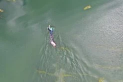 Drybag Medium Pink 28 Litres -ALLENS SWIMWEAR Sales 5fcc0756c5ab27cec65395ff4871739a309ecfc68b36470d34a7c4ae54cbec10