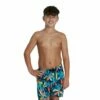Boys Printed Leisure 15" Watershort