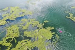 Drybag Medium Pink 28 Litres -ALLENS SWIMWEAR Sales bbaeeb4266151ecd6d48357803b47becab3e05f9ff4d800b3a0fe14ef130cce3