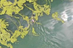 Drybag Medium Pink 28 Litres -ALLENS SWIMWEAR Sales d812b9086ac4c4b736598d1a1a930afb7fcba62881483c0128cc938b2b5e49ea