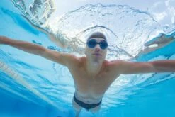 Predator S/M 30 Predator S/M -ALLENS SWIMWEAR Sales e201907deea93fa7988294e9f6b6e08411eb3d585a72cf76be82fd7ddb653dea