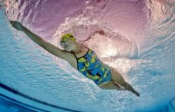 Womens Prism 2.0 Strap Back Swim Costume -ALLENS SWIMWEAR Sales f3a12fb511f5f806133049a95941fc42aa35af811bf91bf203b37b195b2d4e82